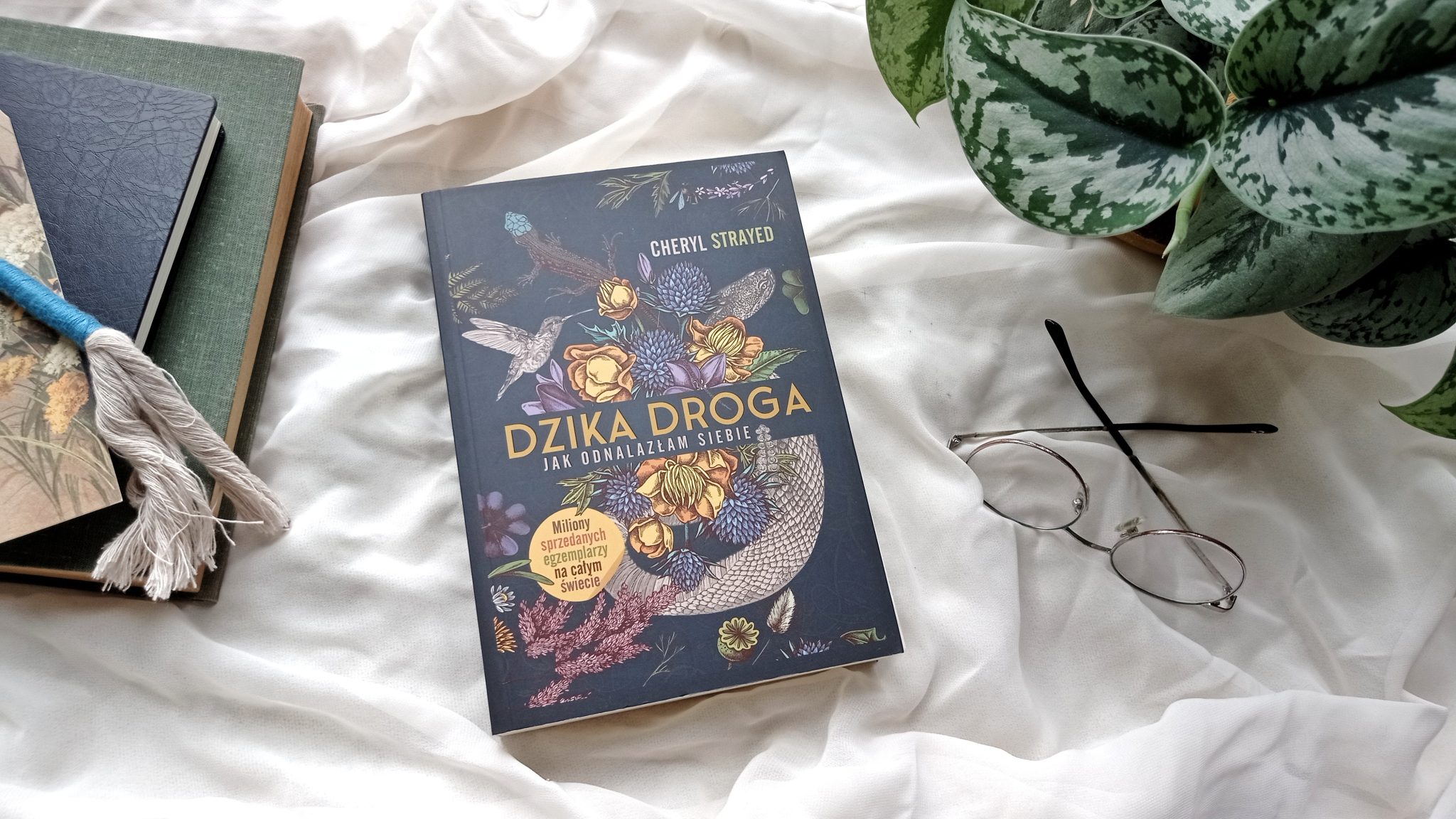 Dzika droga. Jak odnalazłam siebie